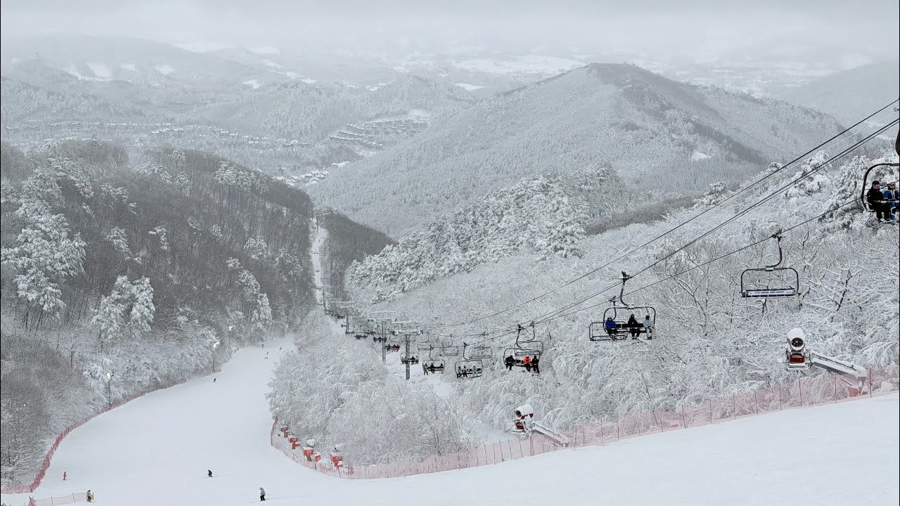 ‘26.3.3(화) 용평 골드밸리 슬로프