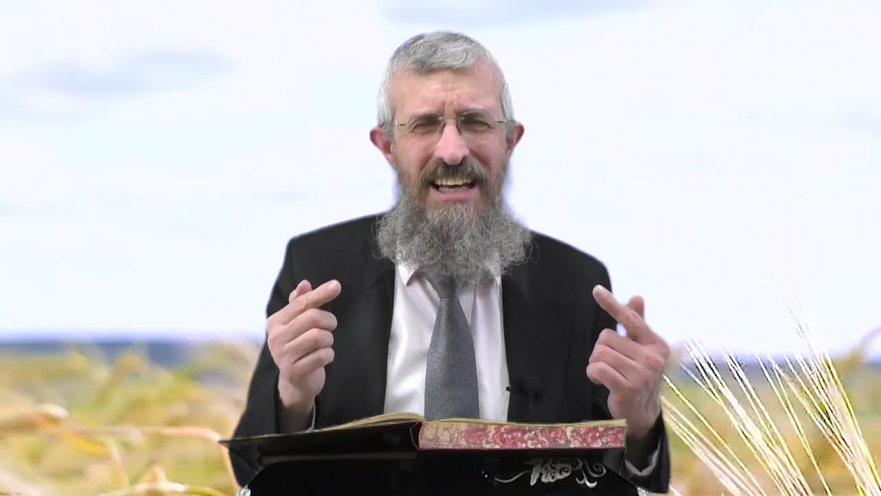 מסכת מנחות דף סה - 8 דקות של לומדות ועמקות בדרך הלימוד הישיבתית [Menachot 65]