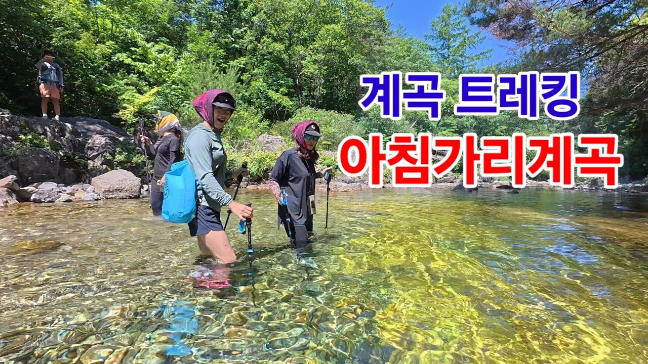 아침가리계곡 트레킹 리얼 영상