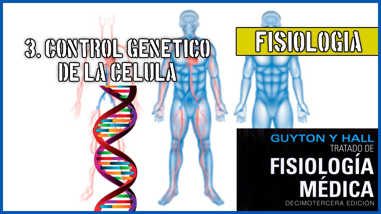 3. CONTROL GENÉTICO DE LA CÉLULA | FISIOLOGÍA
