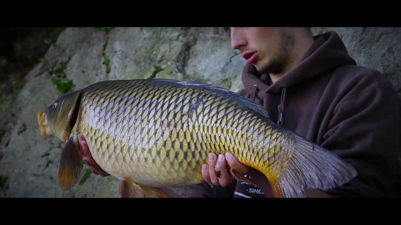 LIFESTYLE-CARPSTYLE | RUŽÍN 2