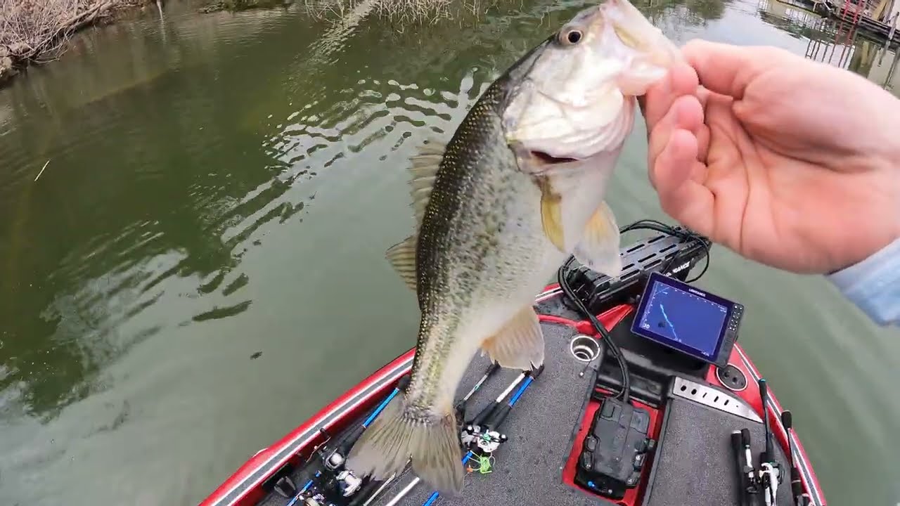 First bass of the year on beds, water temp is getting in the zone to make these bass move shallow.