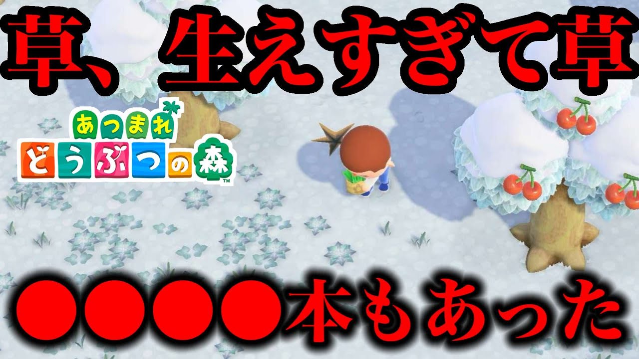 アプデを体験するためにはじめて草むしりをしたら●●●本もあった！！【あつ森小ネタ】