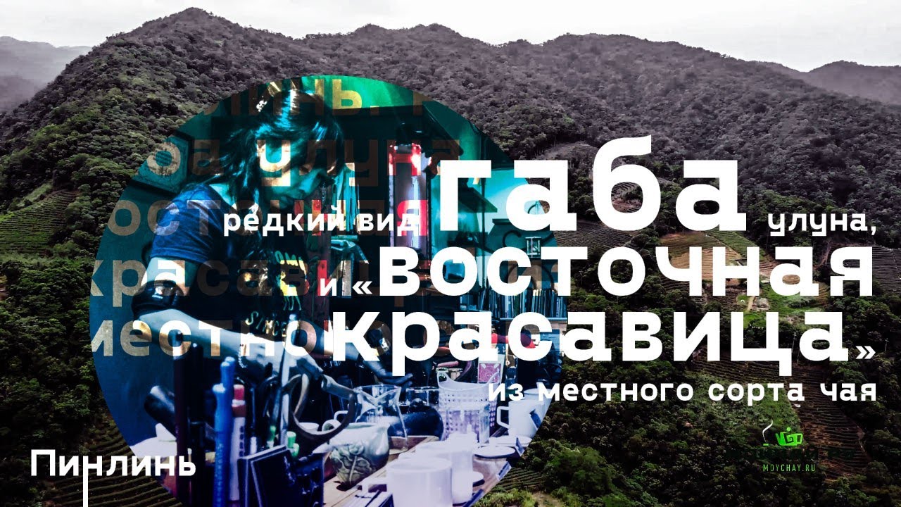 Тайвань, Пинлинь. Редкий вид габа улуна, и восточная красавица из местного сорта чая.
