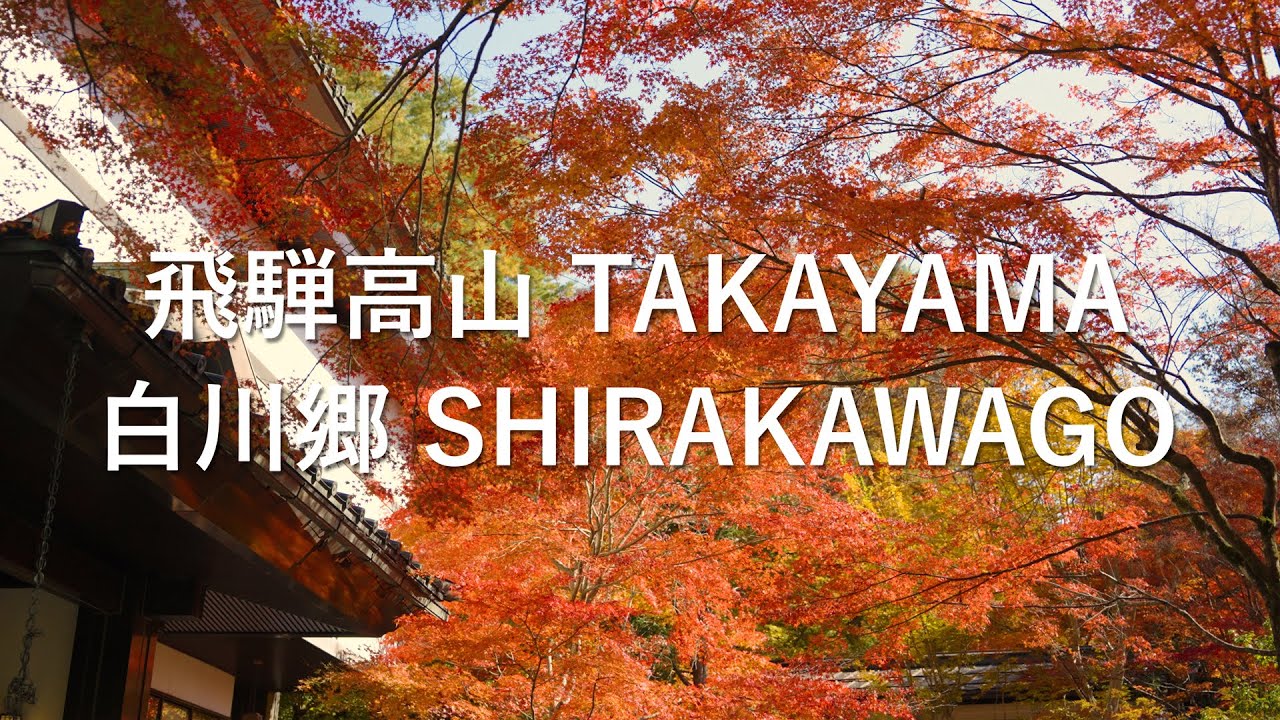 飛騨高山・白川郷の旅🍂高山グルメと観光地巡り3泊4日！【takayama vlog 】