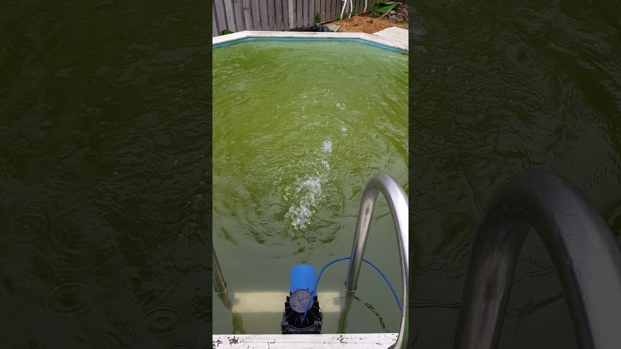 Flowchamp test4