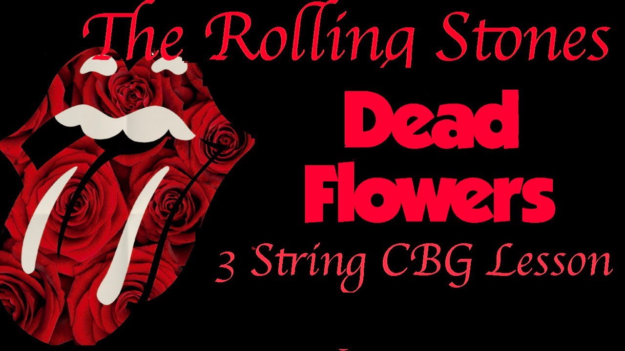 Dead Flowers Cigar Box Guitar Lesson 3 string The Rolling Stones  #cbglesson #rollingstones