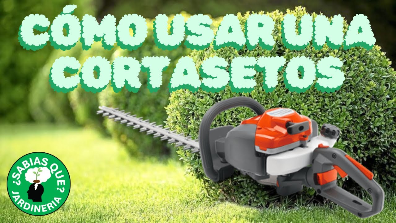 Trucos y Consejos para Usar una Corta Setos de Forma Segura y Eficiente