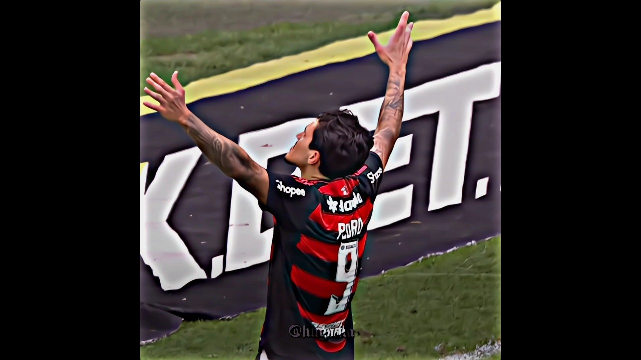 NA MINHA CASA MANDO EU VARMEIRAS! 🤣🔴⚫ #flamengo #palmeiras #brasileirao