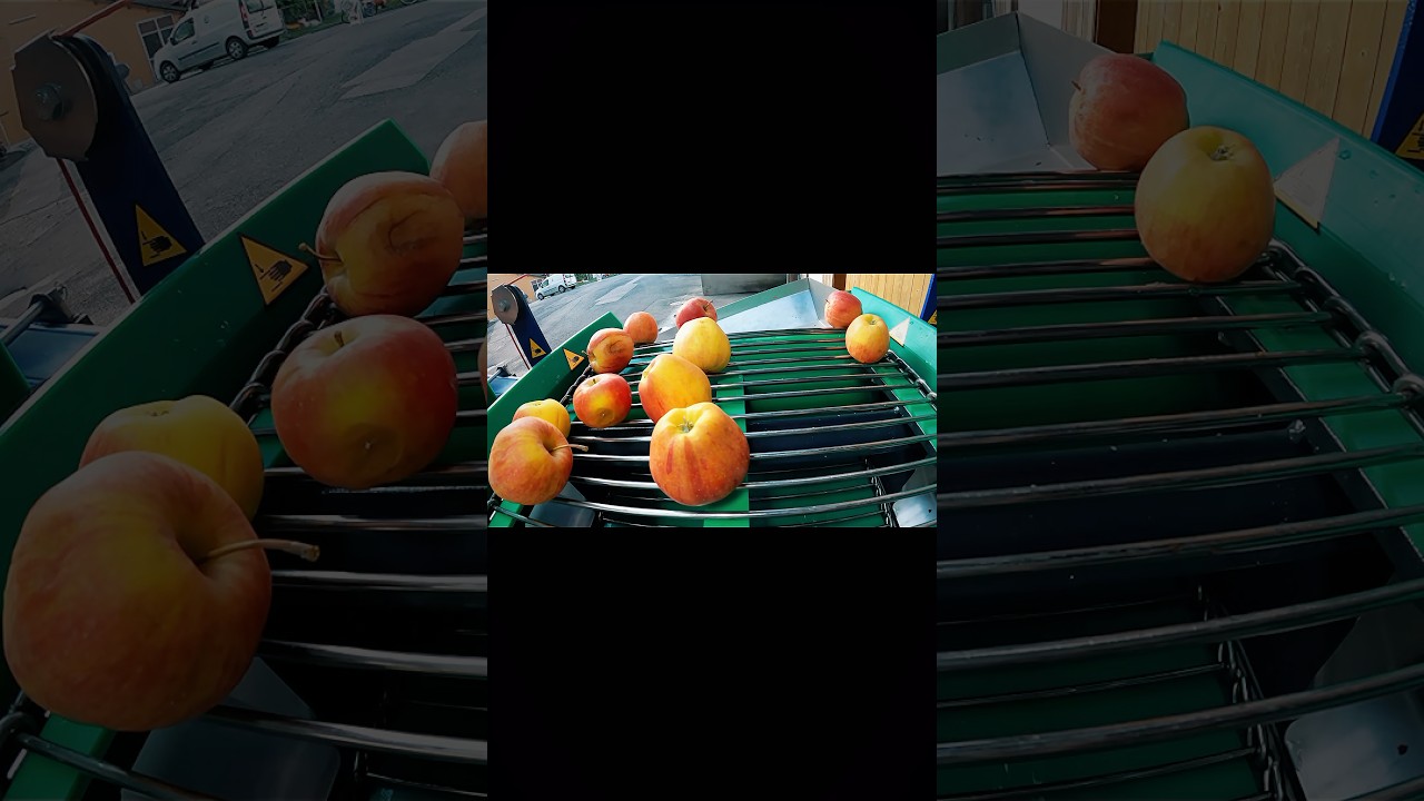 Obstverleseband 2025 