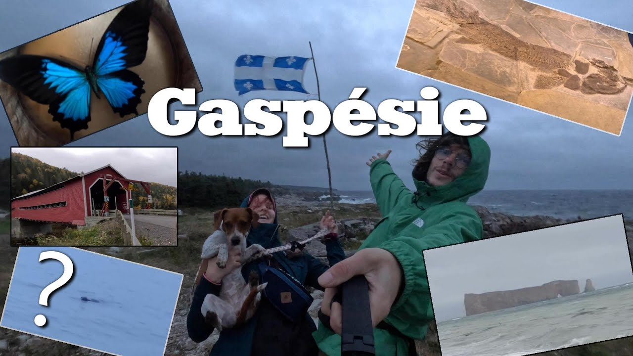 Tour de la Gaspésie-Road Trip