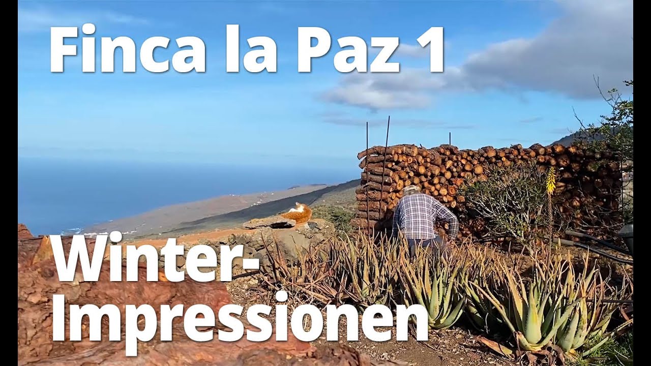 Finca La Paz 1   Winterimpressionen von El Hierro