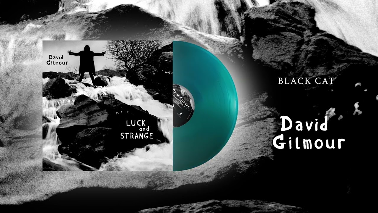David Gilmour - Black Cat (Official Audio)