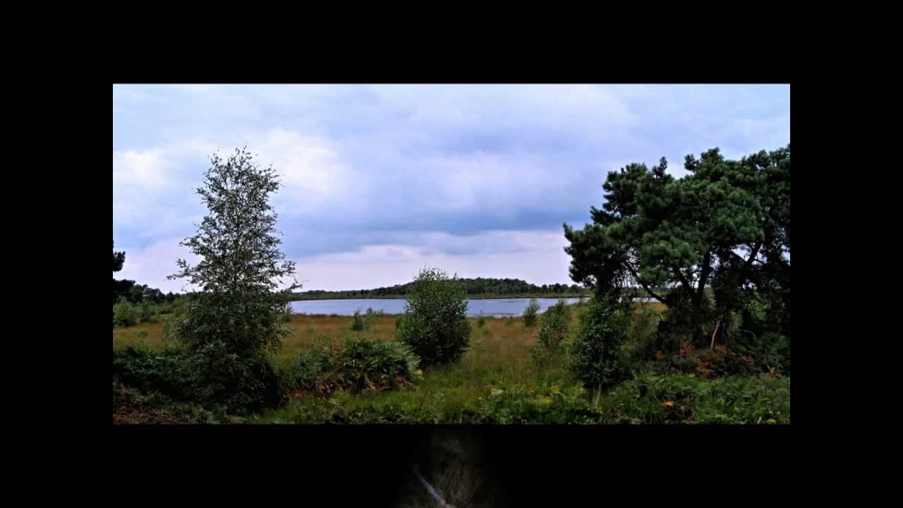 De Groote Peel. Foto-impressie:geervannesmeed