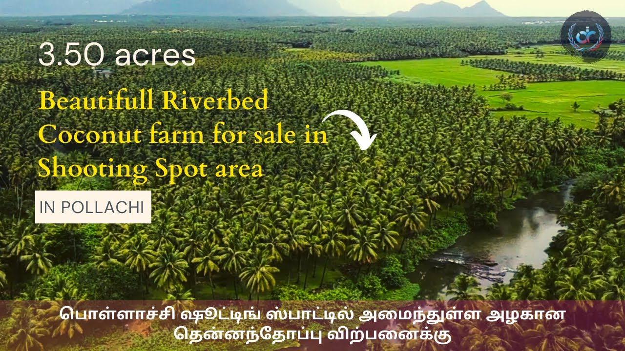 Beautiful River Bed Coconut Farm Sale @ Pollachi Shooting Spot Area suitable for farm house & Resort