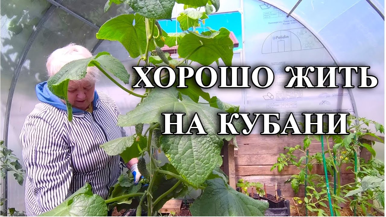 593ч Жизнь пенсионеров на юге/Наш сад в мае/Переехали на юг