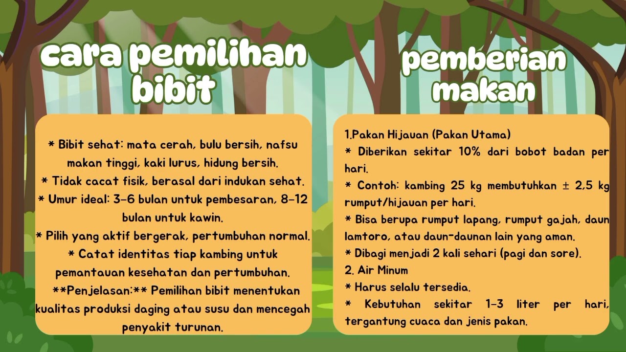 Tugas PKWU tentang Observasi Budidaya Peternakan Kambing. Nama : Riska Oktavia, XII-E(29) 