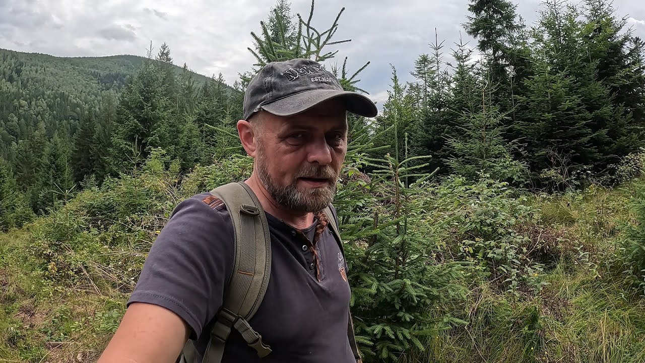 А що в Горганах по ГРИБАХ?..Цілий день розвідки! Ми з ГРИБАМИ!