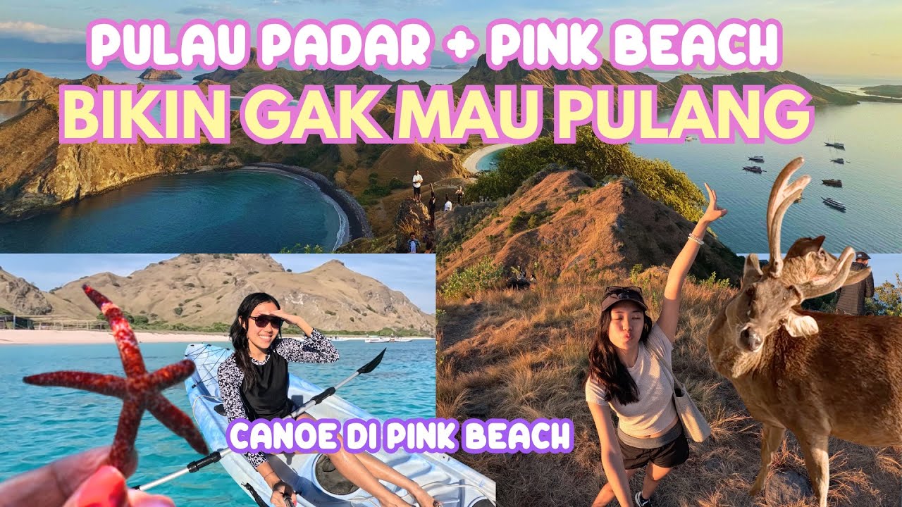 AIR LAUT PINK BEACH JERNIH BANGET KAYAK KRISTAL! PESONA SUNRISE DI PULAU PADAR & BUKIT SYLVIA | VLOG