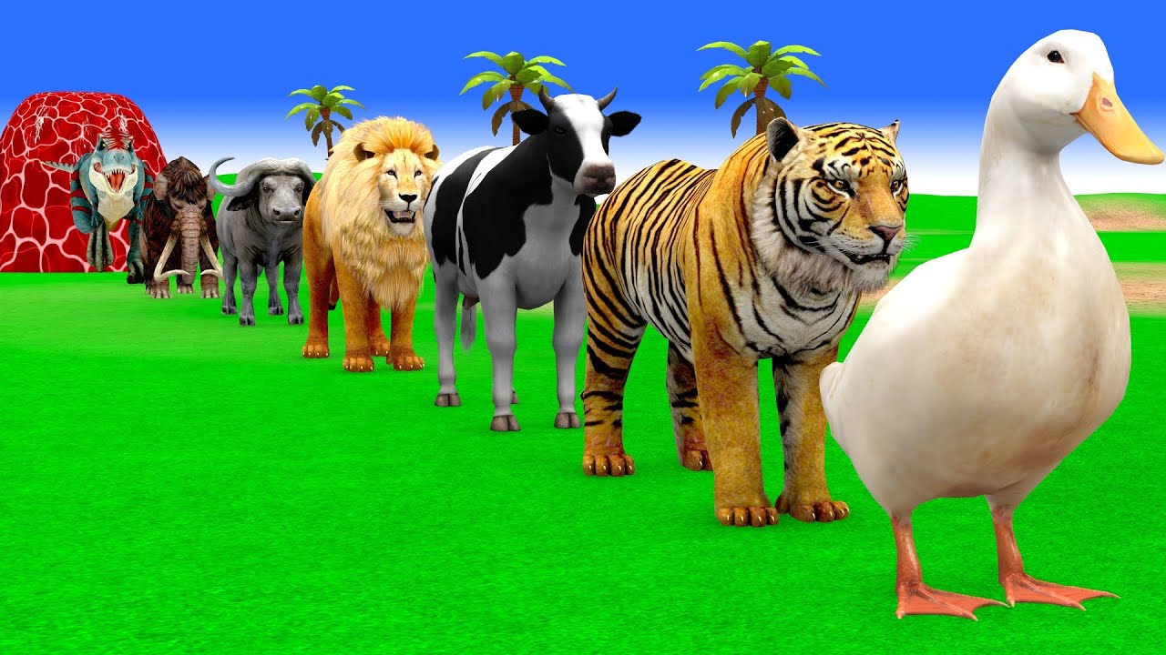 Long Slide Game with Cow Elephant Gorilla Hippopotamus Tiger 3d Animal Game Funny 3d Animals
