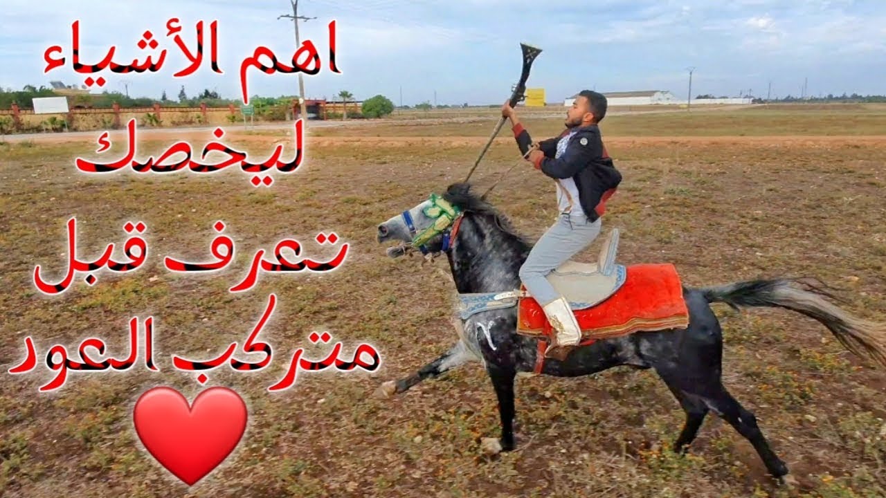 #اجيو_تشوفو: الفرق بين لعضم عميري و المراكشي وطريقة تنشاب سرج و جمال مديونة مع خوكم اشرف