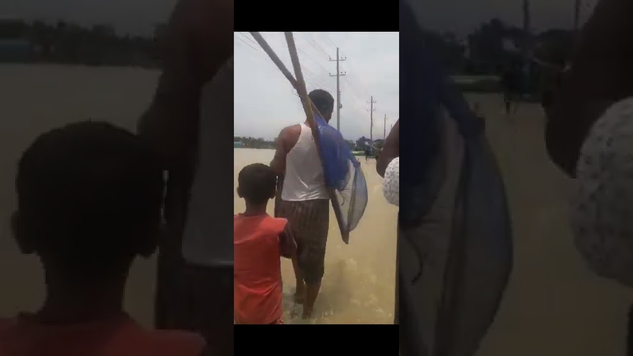Flood situation in Bangladesh | Sunamganj & Sylhet districts