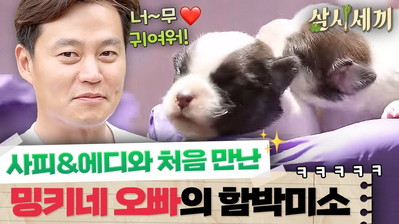 [#삼시세끼정선편] 밍키 아기들과의 첫만남! 무뚝뚝한 서진 마저 웃음짓게 하는 귀여운 아기강아지 🐶🥺