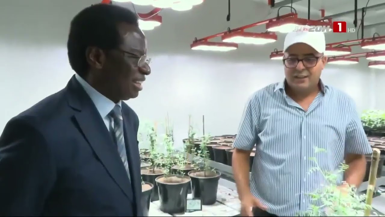 EXPLOITATION DU PHOSPHATE | Le Sénégal veut s'inspirer du Maroc