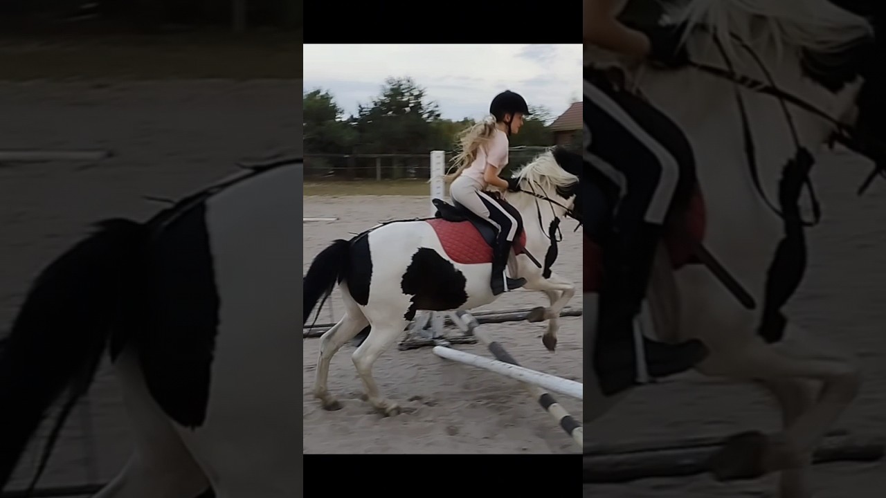Był p&oacute;łsiad 😁 Ćwiczę skoki 🐎 #horse #horses #koń #konie #jazdakonna #equestrian #galop #skoki