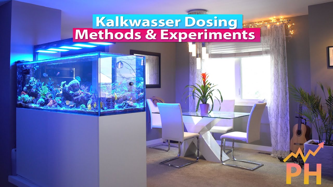 Kalkwasser Dosing Methods and Experiments to raise PH - 4K
