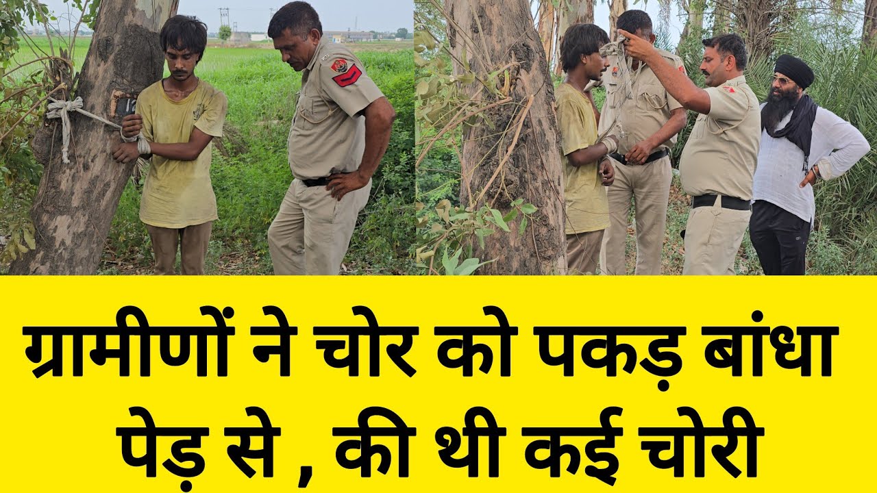 चोर को पकड़ बांधा पेड़ से ,