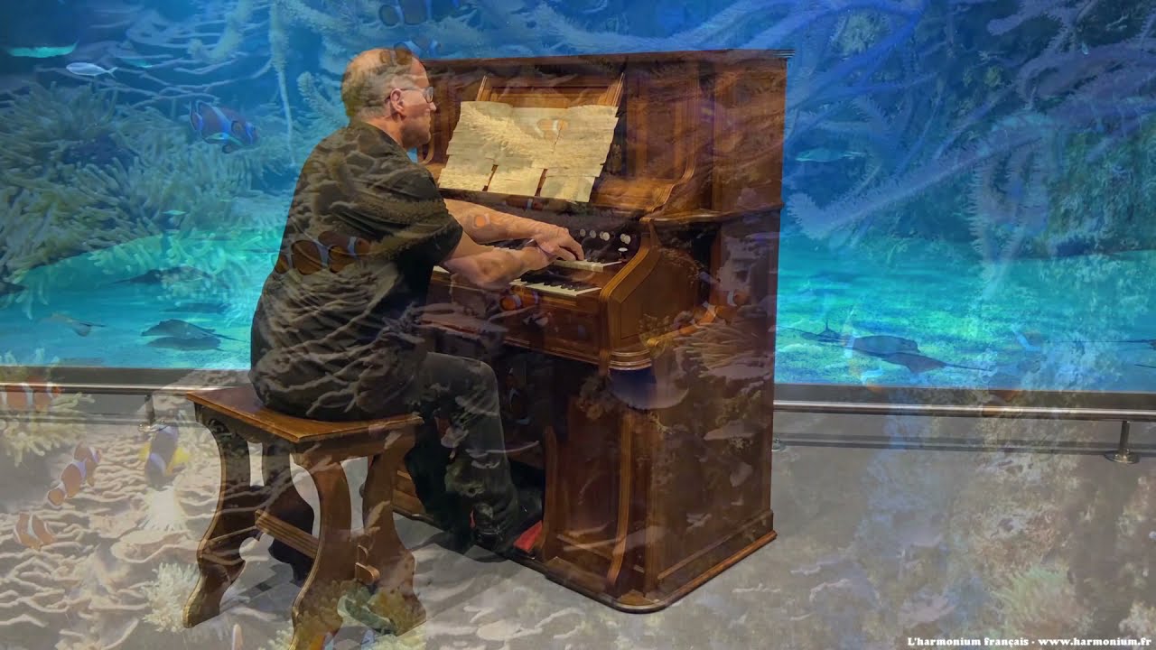 L'aquarium (extrait du Carnaval des animaux de Saint Saëns) - Duo pour Orgue Célesta Mustel et Piano