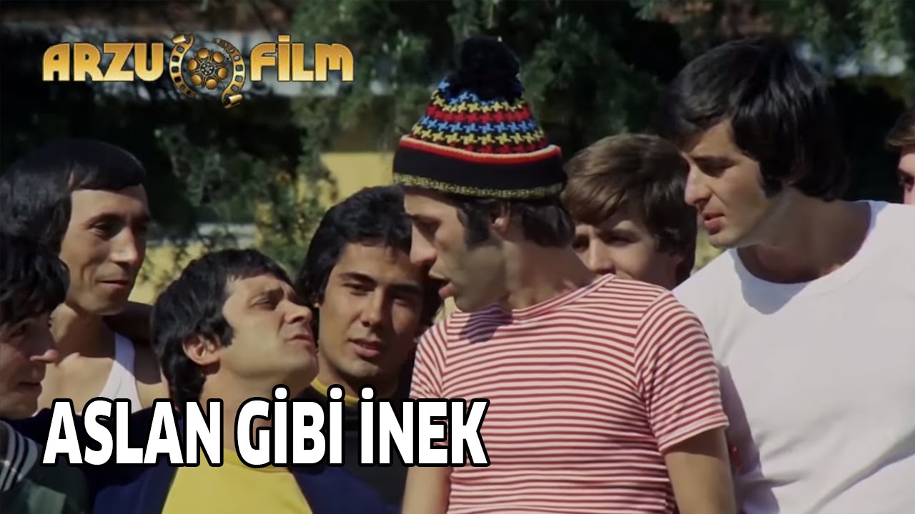 Aslan Gibi Bir İnek | Hababam Sınıfı Sınıfta Kaldı