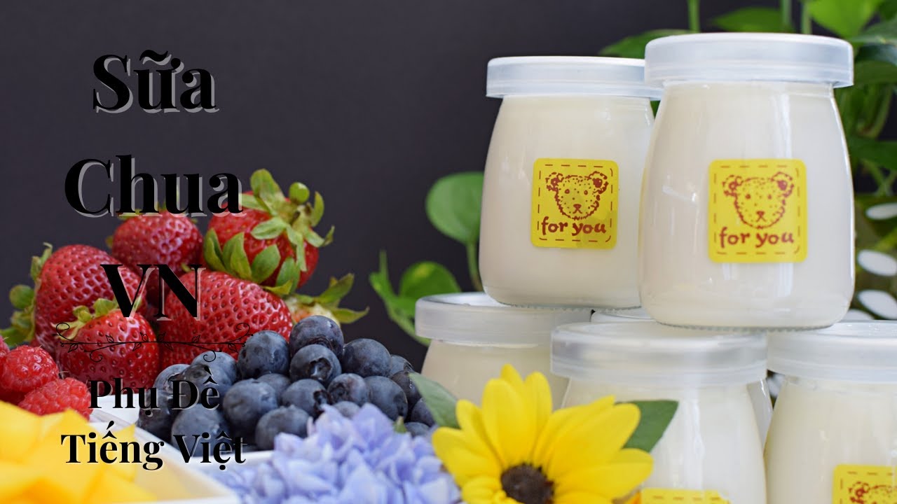 Vietnamese Tangy Sweet & Silken Creamy Yogurt (Yaourt Sữa Chua Việt Nam)