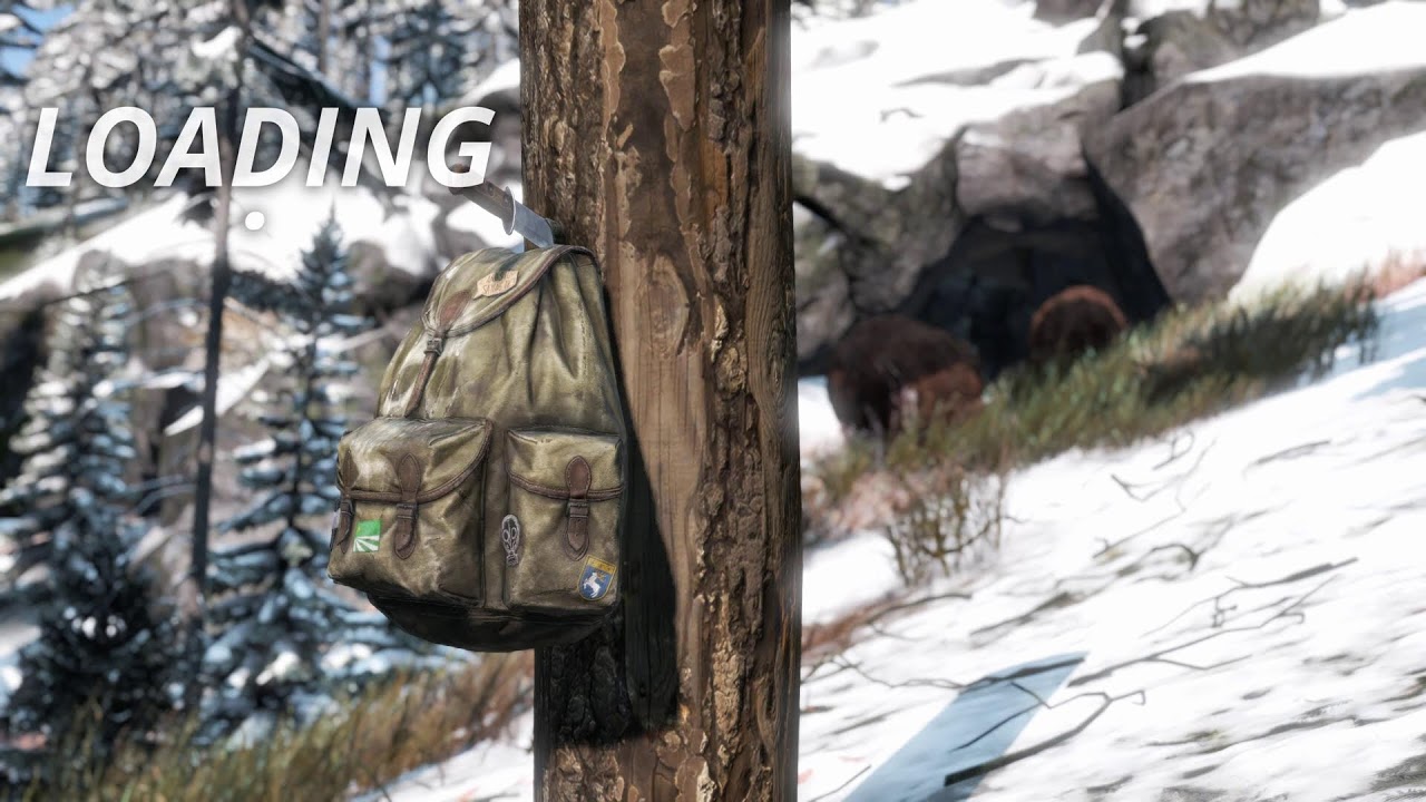 A Solo's Fresh Start !commands - DayZ 1440p