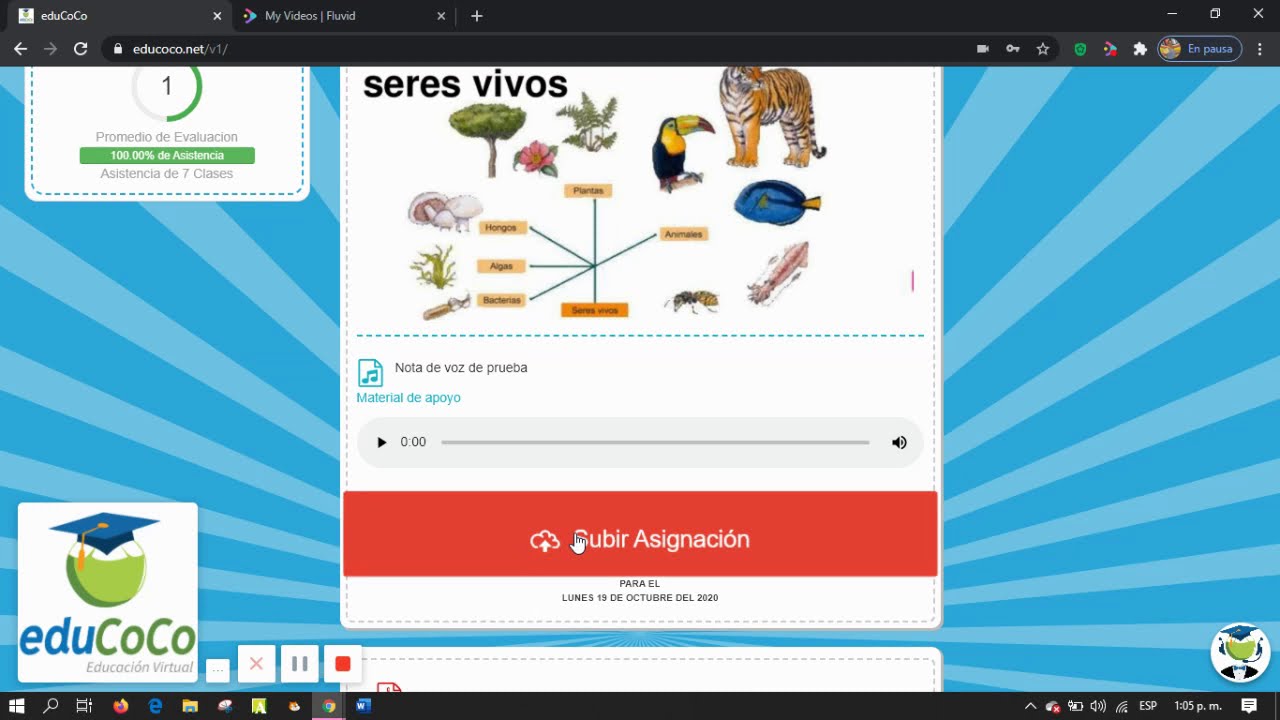 eduCoCo « ¿Cómo subir una asignación? (estudiantes de inicial hasta 3ro de primaria)
