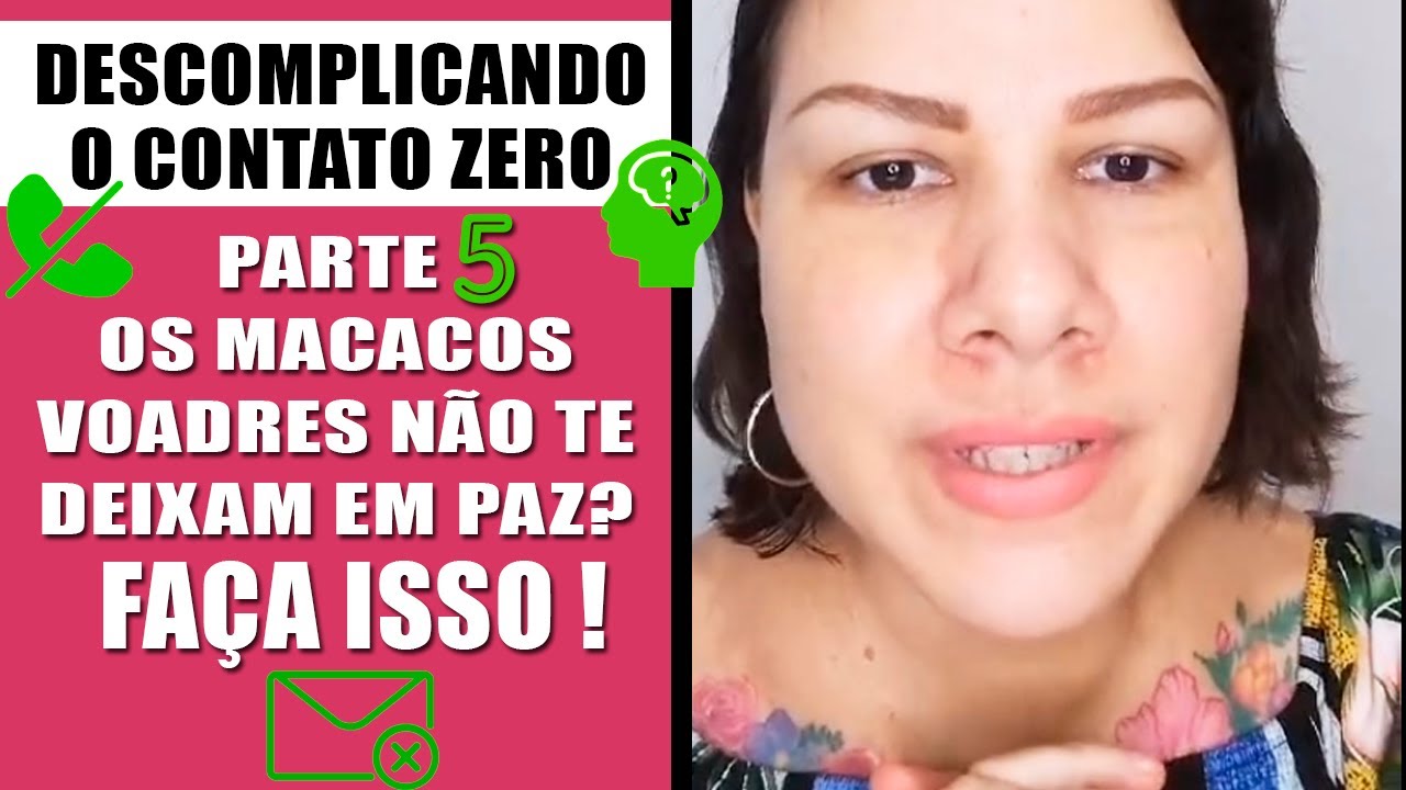 5 - OS MACACOS VOADORES NÃO TE DEIXAM EM PAZ? FAÇA ISSO!