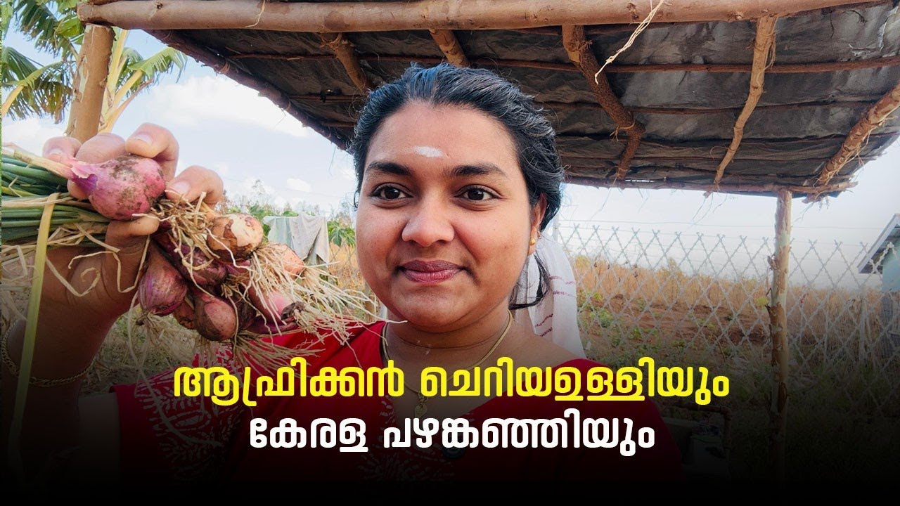 ആഫ്രിക്കൻ ചെറിയ ഉള്ളിയും കേരള പഴങ്കഞ്ഞിയും #sundayvlog #africa 