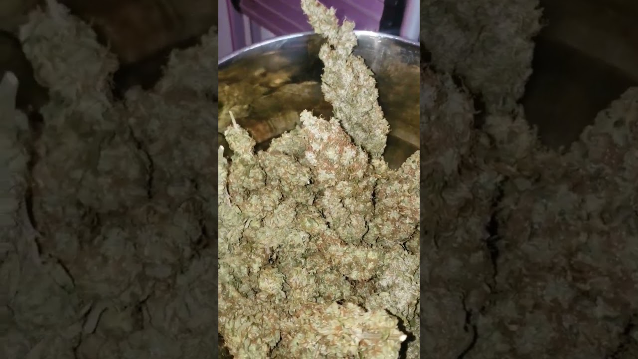 the cure #music #song #love #420 #cannabiseducation #marijuanagrowers #2024 #thecure #green #weed
