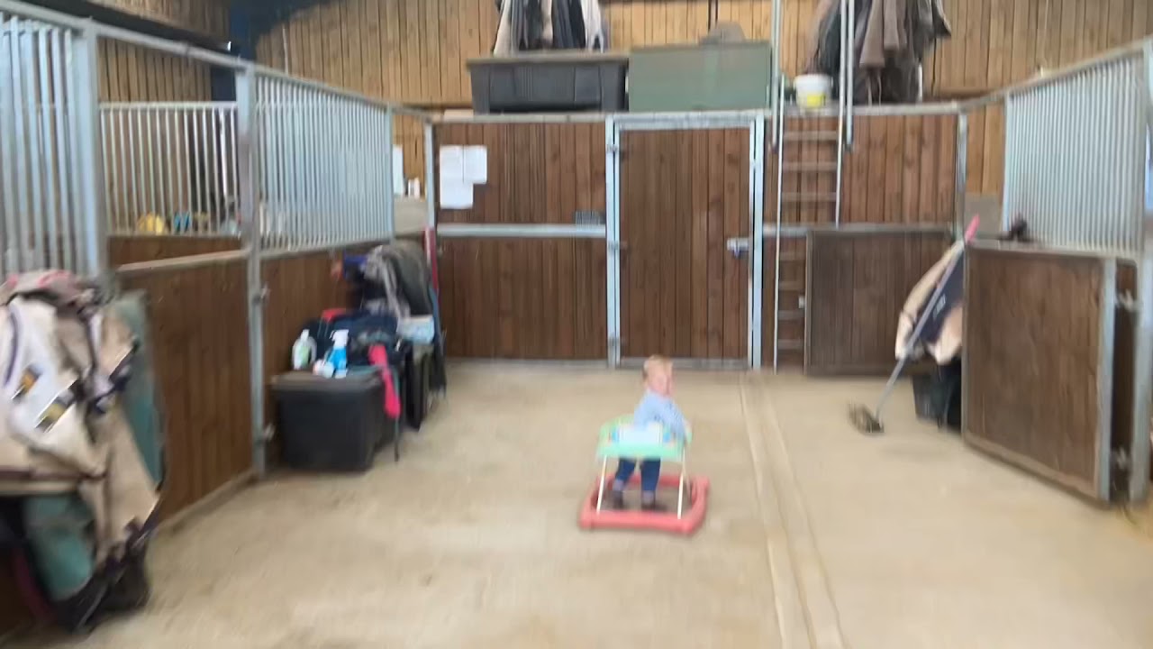 A good clean out with Concord Equestrian Straw Pellets