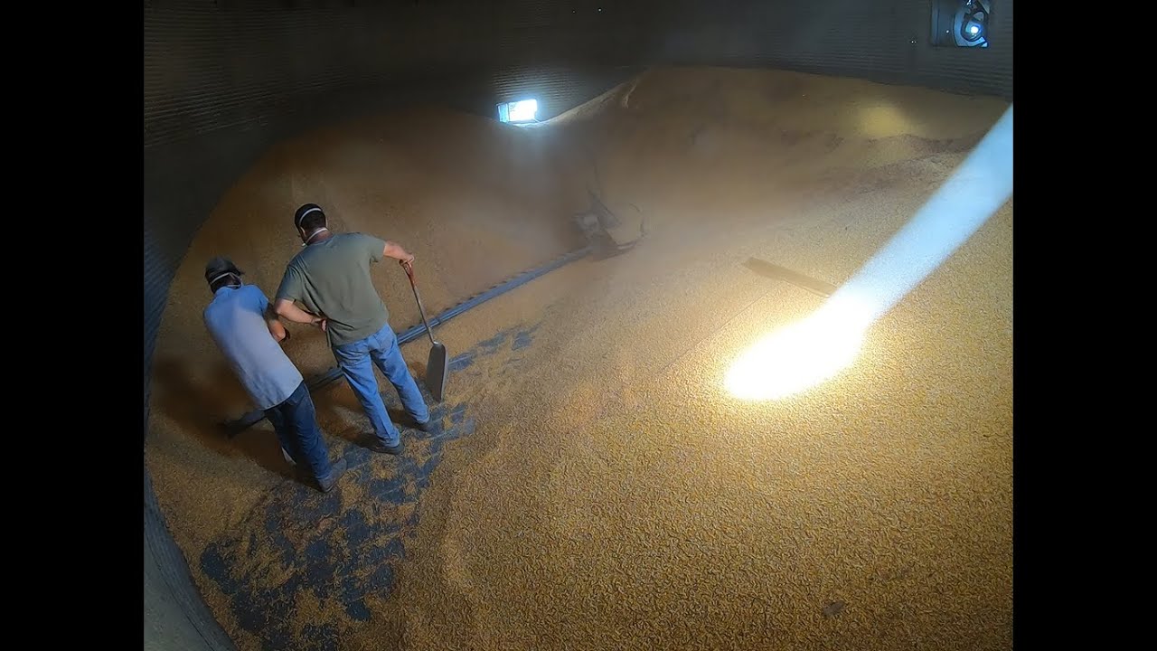 Worst Job On The Farm?? Cleaning out the Top Dry grain dryer Time Lapse!