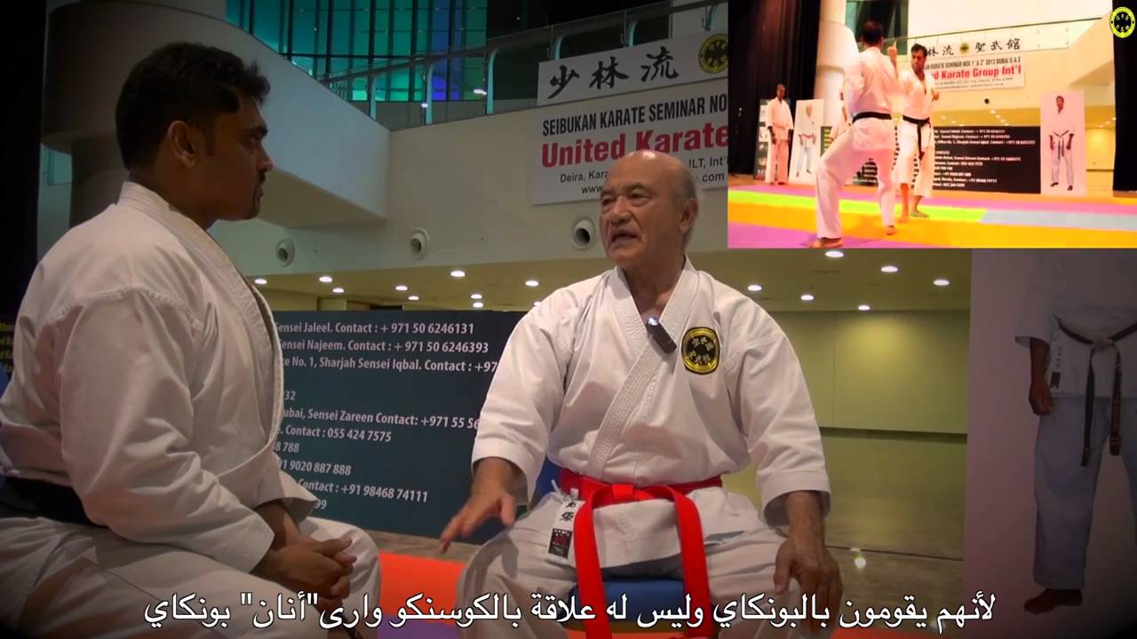 THE TRUTH ON BUNKAI