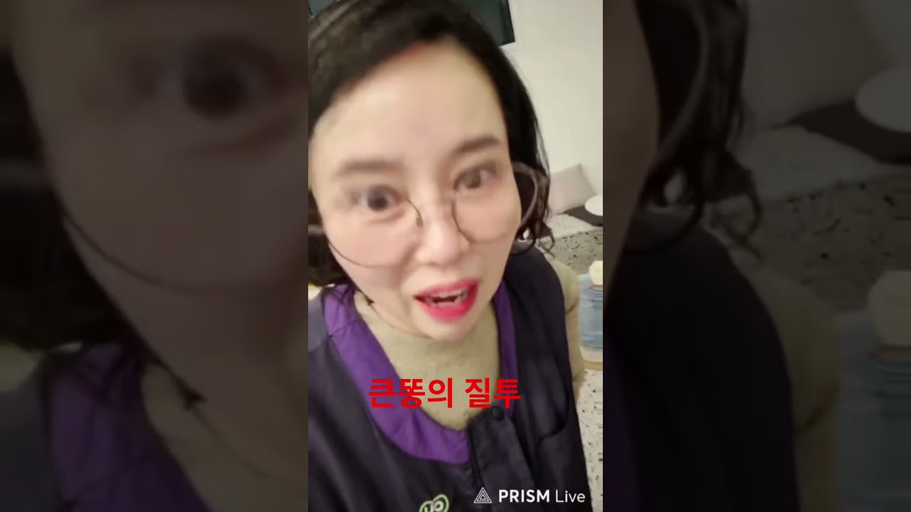 정모