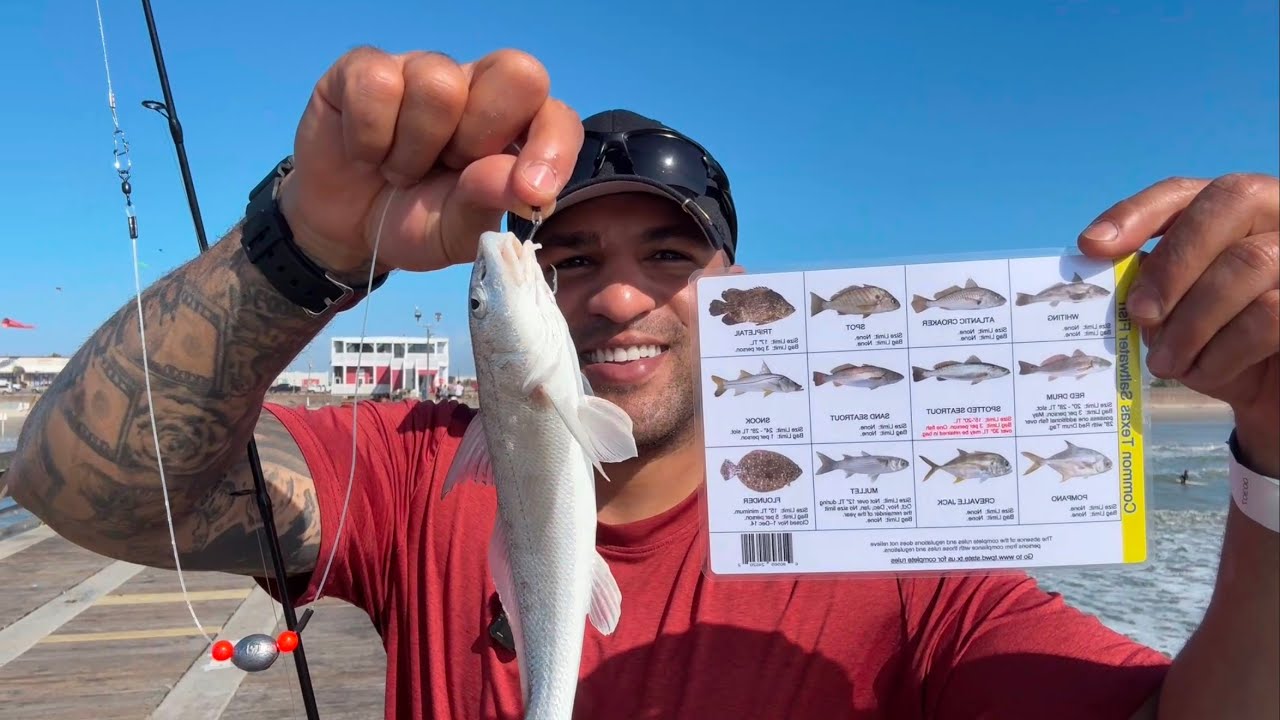 Epic Fishing! Day 2 at Galveston Fishing Pier! Texas | Gulf Coast State #1