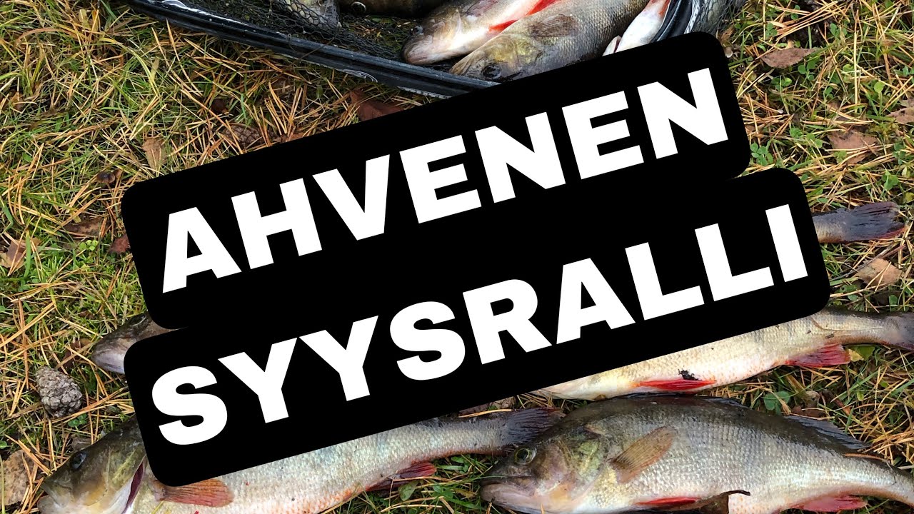 POTTUKOIRA KALASTAA 2022- JAKSO 18- AHVENEN SYYSRALLI KIIHTYY