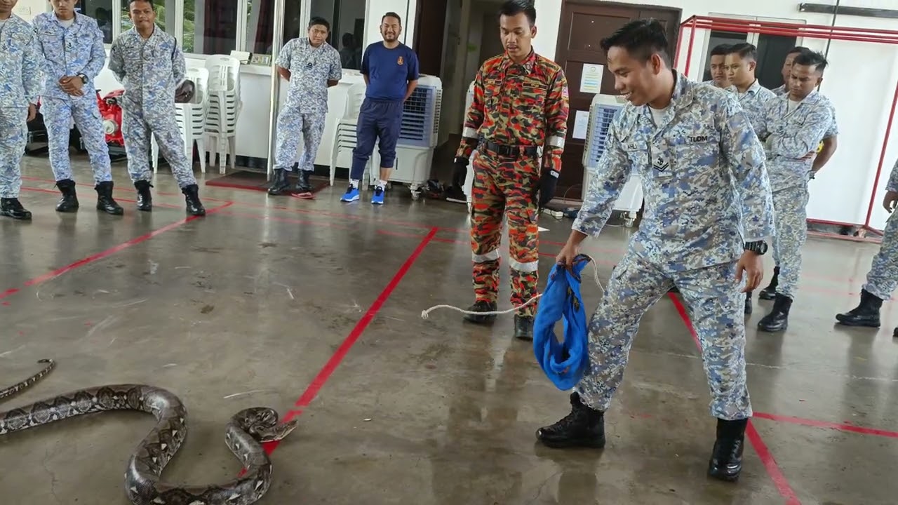 KURSUS ULAR TENTERA NAVY KUANTAN