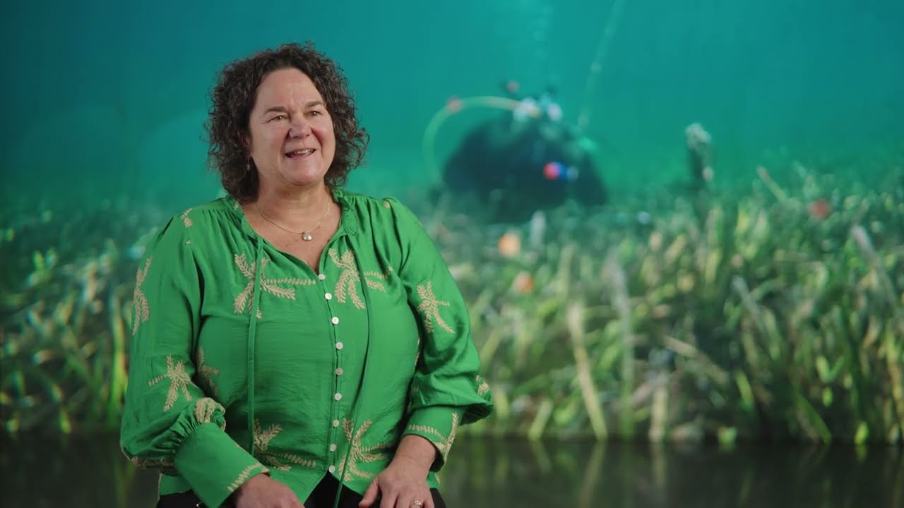 WAMSI Westport Marine Science Program