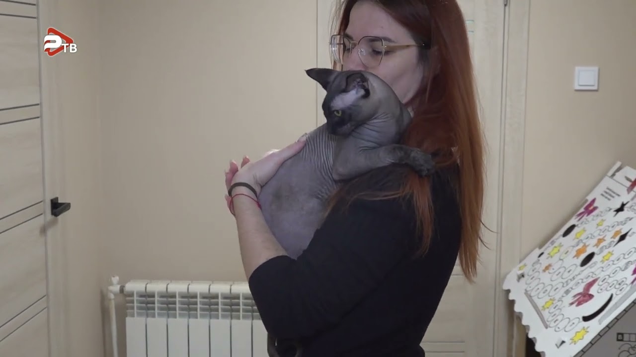 Водитель мусоровоза спас выброшенного на мусорку кота в Раменском