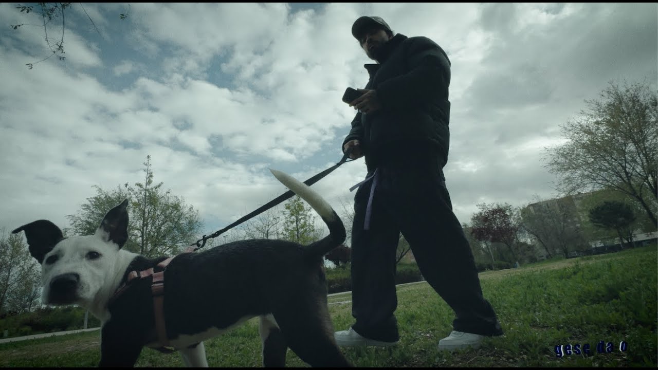 Gese da O - no gandhi (Official Video)