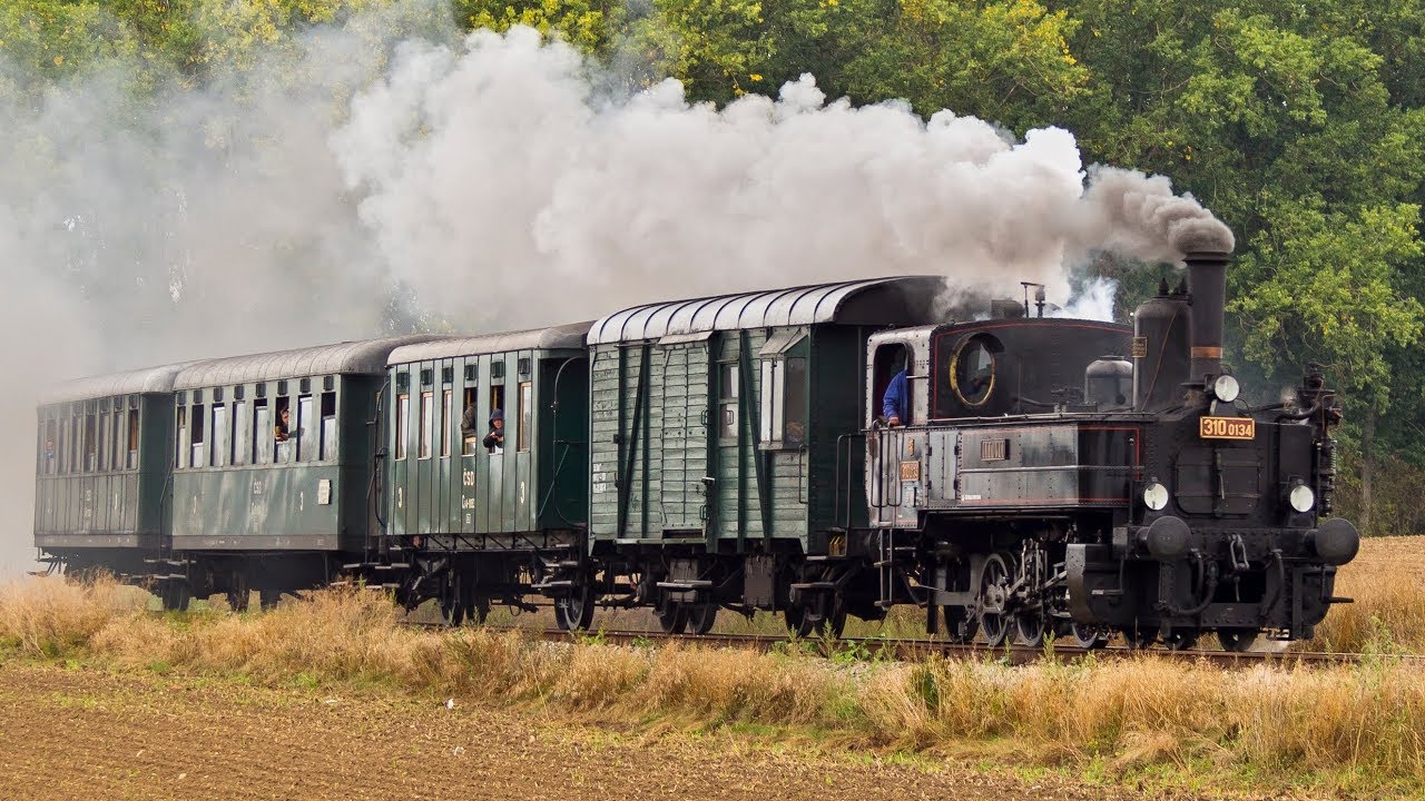 310.0134 a M131.1081 S lokálkou kolem Humprechtu | 07.09.2019